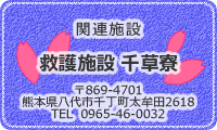 ֘A{݁@~{݁@瑐ւ̃N