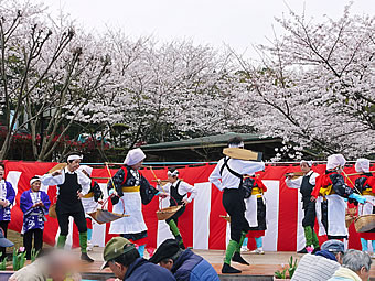 写真